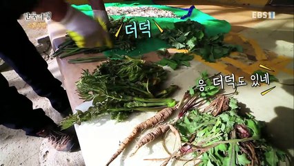 한국기행 - Korea travel_시골식당 1부 산길따라 맛나다_#002