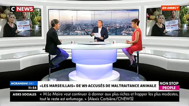 EXCLU - La fondation Brigitte Bardot répond aux Marseillais: Ce sont des bimbos stupides et des machos crétins - VIDEO