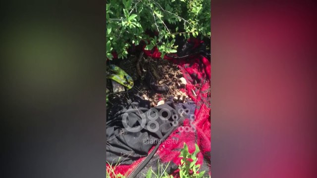 Ora News - Korçë, genden eshtra pranë varrezave të fshatit Drenovë