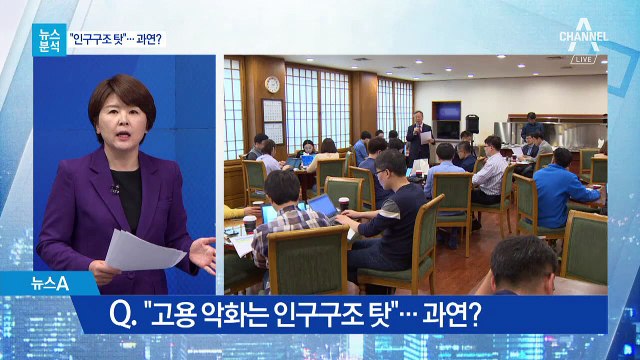 [뉴스분석]혈세 쏟지만 청년 일자리 확대 ‘갸우뚱’