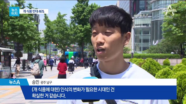 [뉴스터치]절반 줄어든 보신탕집…갈등은 여전
