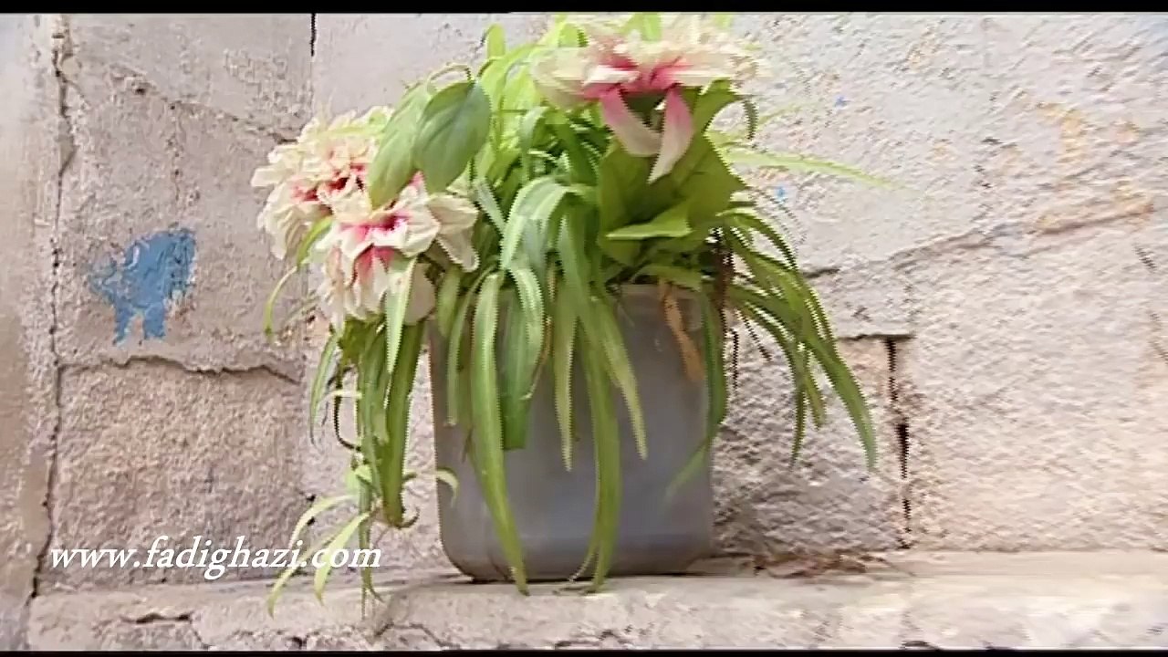 شاميات ـ اسم غريب جدا ههههه ـ فادي غازي ـ راكان تحسين بك