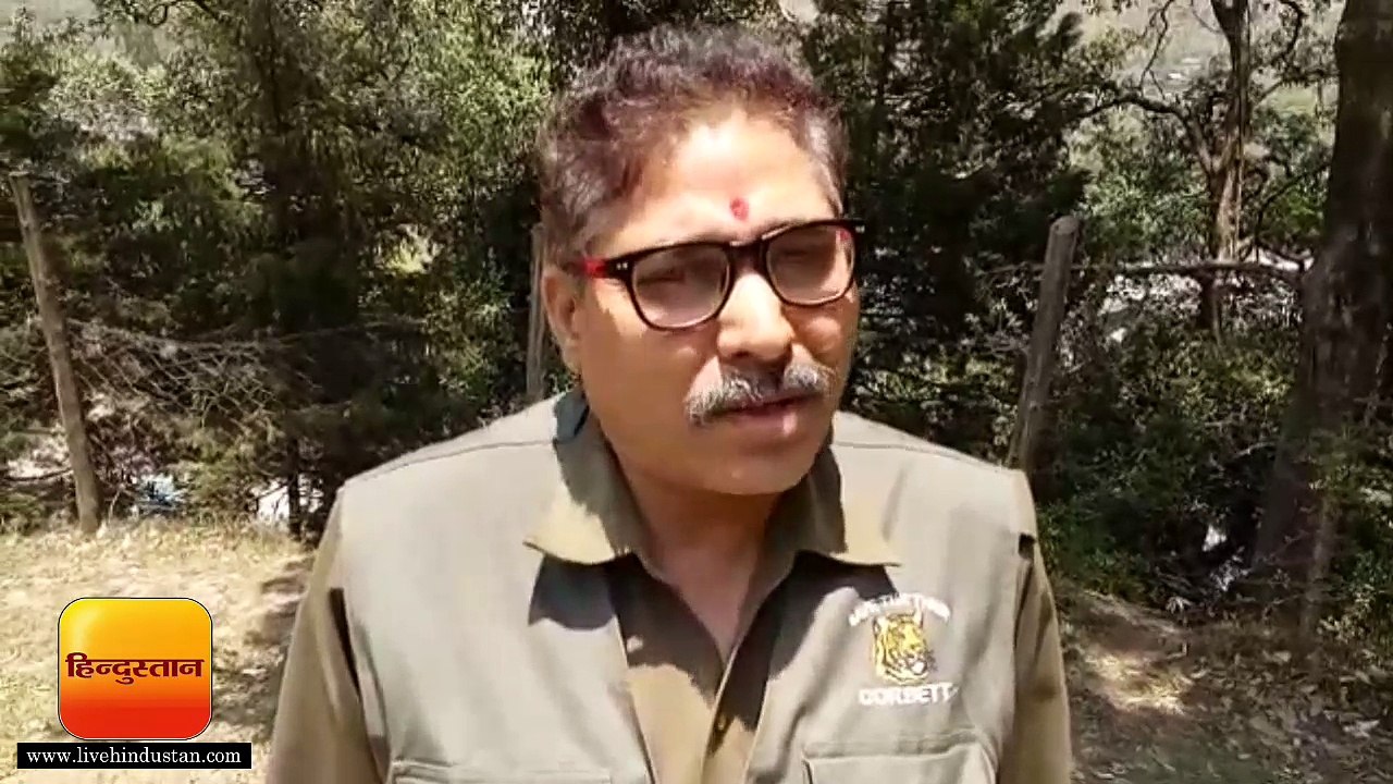 भवाली के जंगलों ने धधकी भीषण आग को काबू पाने में जुटा वन महकमा