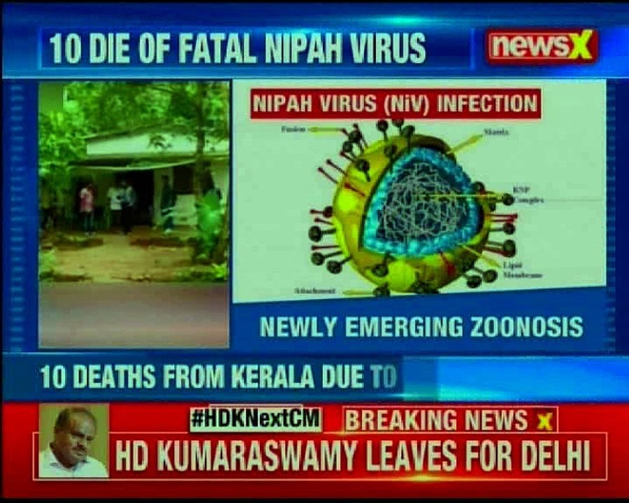 Nipah virus outbreak: Rare and deadly virus scare; 10 die of fatal Nipah virus