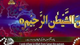 Surah Ar Rahman - Beautiful Recitation and Visualization of The Holy Quran