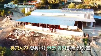 Nest Escape S2 E7-001