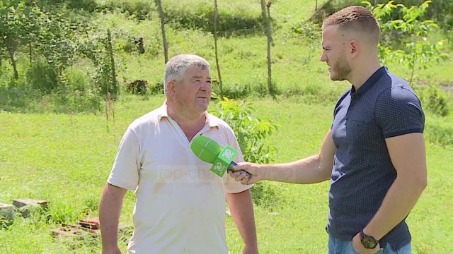 Hajdutët e bletëve - Top Channel Albania - News - Lajme