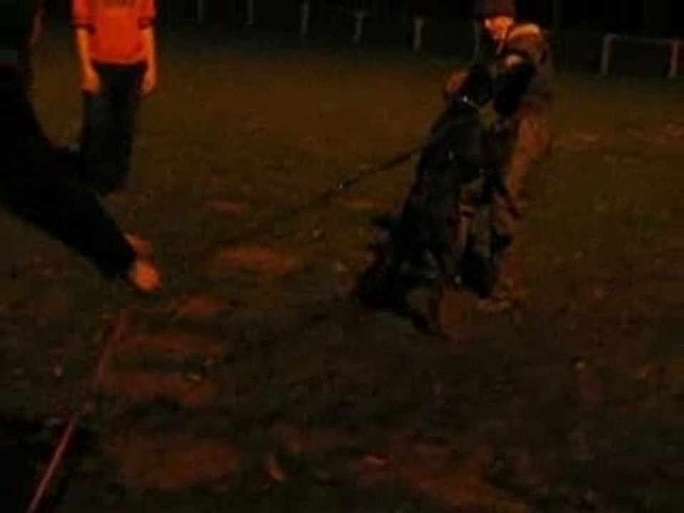 Dernière attache nico