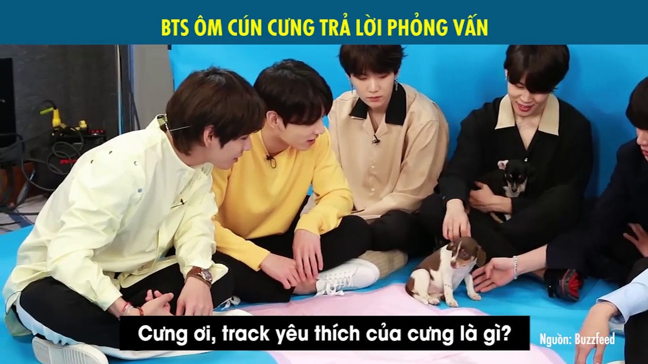 Fan nữ ngất ngây ghen tị với khoảnh khắc BTS ôm cún con vừa cưng nựng vừa trả lời phỏng vấn cực hài