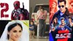 Bollywood Ka Punchnama: Deadpool 2 Collection | Taimur's Swag | Salman's Race 3 Trolled | FilmiBeat