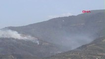 Aydın Kuyucak'taki Yangın, 25 Hektarlık Orman ve Zeytinlik Alanı Etkiledi