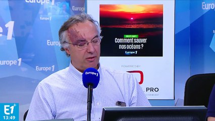 D'où viennent les poissons de Nausicaá ?