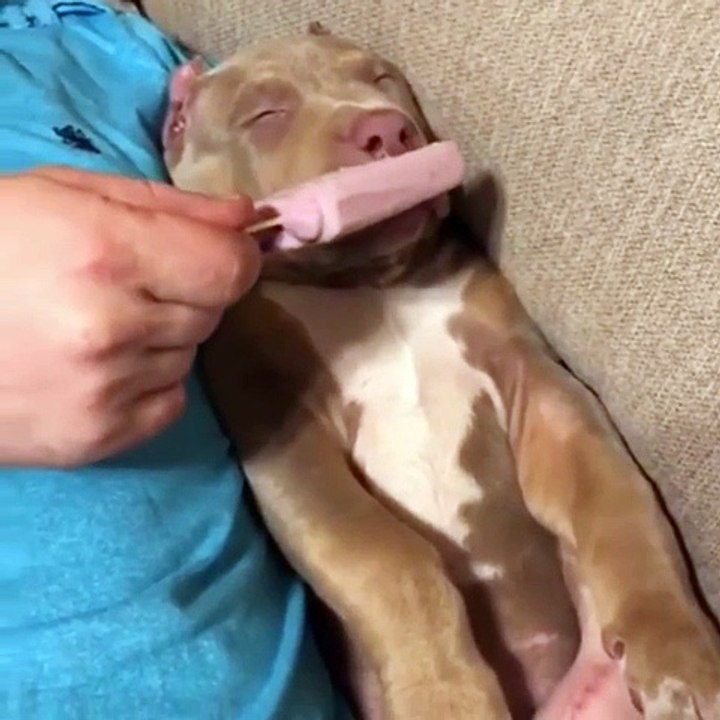 Ice cream surprise.