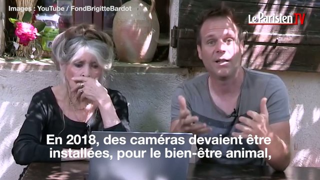 Projet de loi « agriculture et alimentation » : des célébrités se mobilisent contre la maltraitance animale