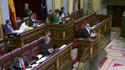 Jordi Salvador Duch en el Congreso de los Diputados