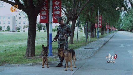 Quân Khuyển Kỳ Binh Tập 34 - Phim Cảnh Sát Đặc Nhiệm Hay