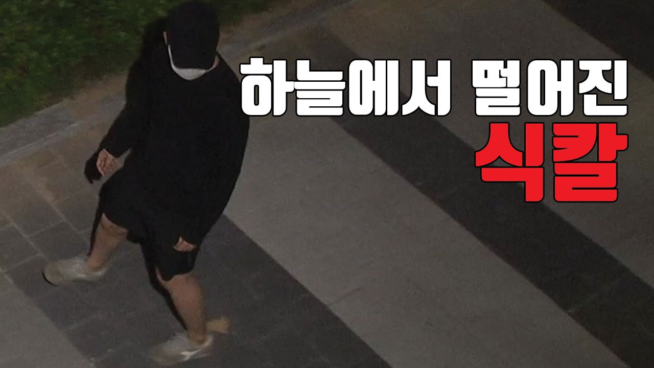 [자막뉴스] 하늘에서 떨어진 식칼...도대체 무슨 일이? / YTN
