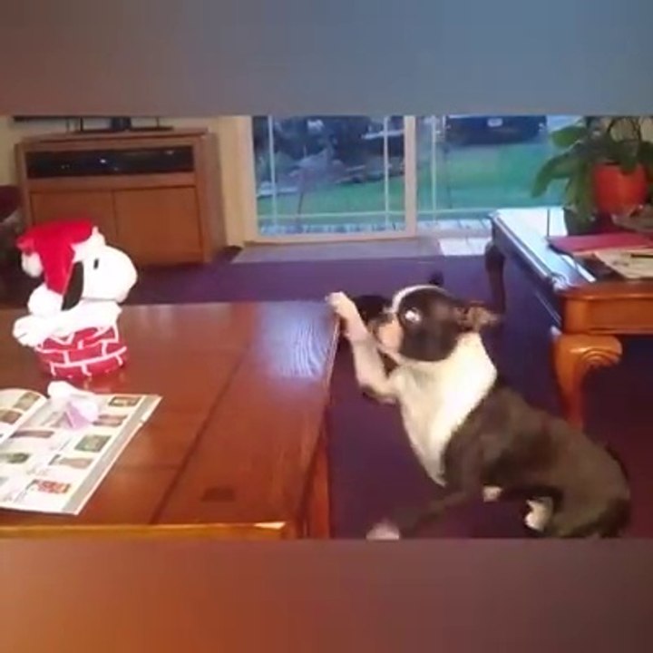 These babies are so funny!