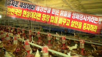 '무차별 살처분 그만!'...법정 투쟁 나선 농민 / YTN