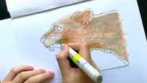 Copic markers speed drawing #3 / Рисую маркерами Copic голову льва