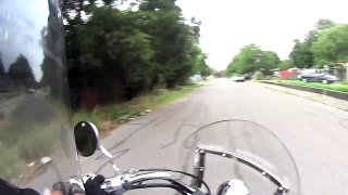 Biker saves lady from dogs