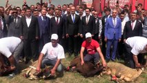MHP Mersin Milletvekili adayları partililerle buluştu