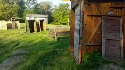 İstanbul’un Göbeğinde Geyik Üretim Çiftliği