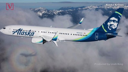 Download Video: Alaska Airlines Is Banning Plastic Straws From Flights In Environmental Push