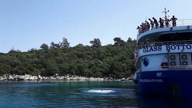 Marmaris'te tur teknesine yunus eşlik etti - MUĞLA