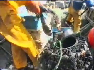 Jara y sedal pesca de la lubina part 2/2