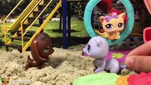 Minişler: Eyvah Kaybolduk! - Littlest Pet Shop / LPS Minişler Cupcake Tv