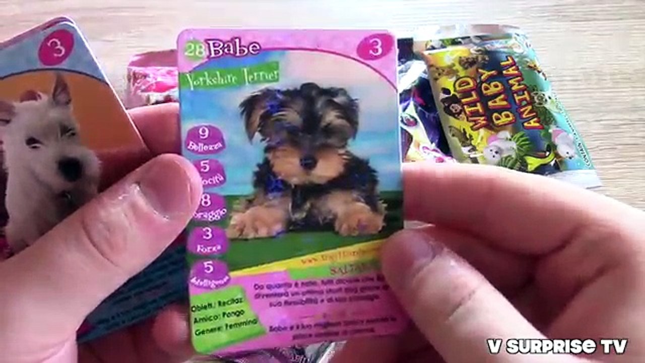 Blind bags galore MLP, Minnies Shopping village, wild baby animals, paw patrol nanonano, animals