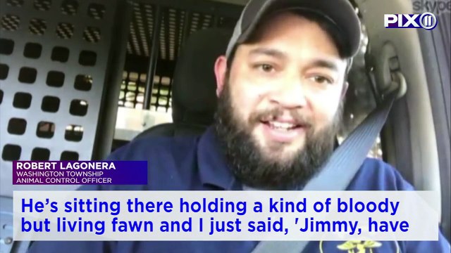 Police Officer Delivers Baby Deer by Emergency C-Section in New Jersey