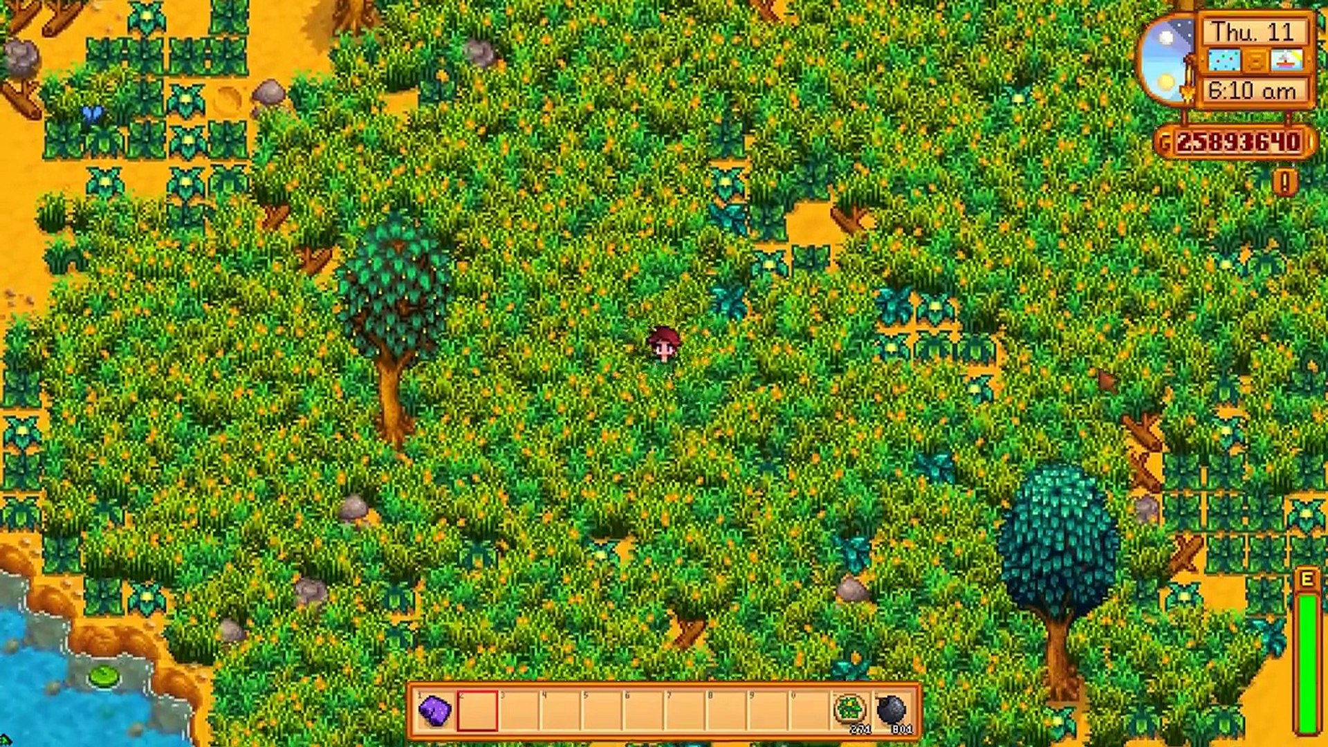 ⁣Mayor's Purple Shorts In The Soup! New Luau Event! - Stardew Valley 1.3