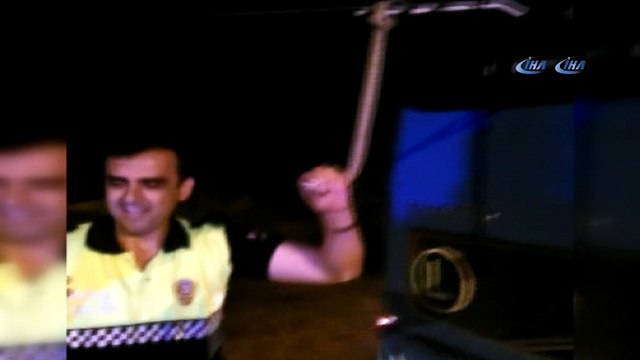 TIR’ın sileceğine dolanan yılanı polis eliyle aldı