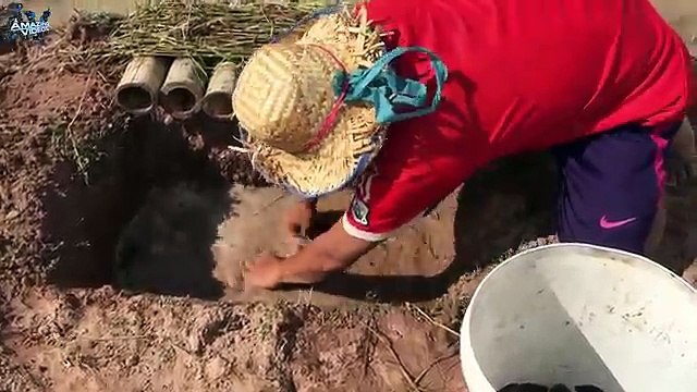 The first Trap Can Catch Alot of fish & Crabs And Eels By 5 Bambo With deep Hole