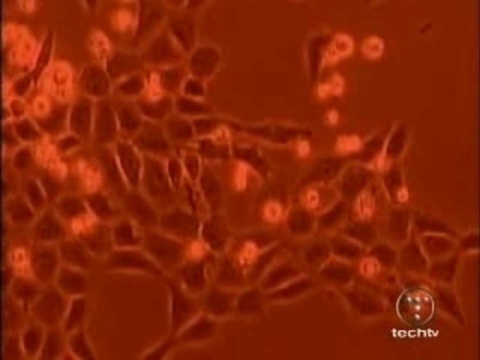 David Icke - Anthony J. Hilder - Conspiracies 1/2