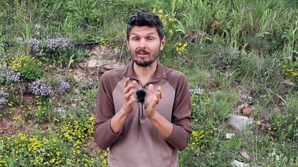 Les deux plus grandes vertus ignorées du jeûne ...Semaine spécial jeûne 1- regenere.org