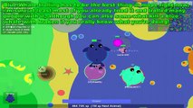 MOPE.IO THE FUNNIEST BLUE WHALE TROLLING EVER! (50K SUBS SPECIAL CONTEST)