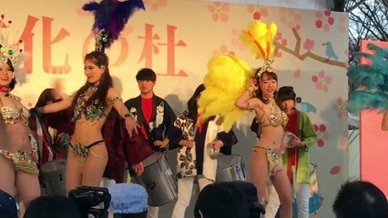 サンバのダンサーさん綺麗☆ (2)