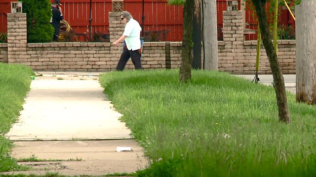 Ohio Woman Charged After Two Dogs Severely Neglected and Abused, One Fatally