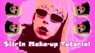 $iirin Make-up Tutorial 39. ♥ Pääsiäismeikki: Pajunkissa ♥