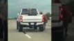 Driver Records Horse Galloping Down Houston Highway