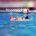 Funny pets 2018Dog Swiming