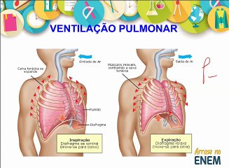 Arrase no ENEM Biologia AULA 1_08