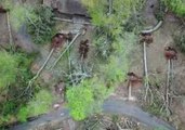 Dramatic Aerial Footage Shows Tornado Damage in Sleeping Giant State Park, Hamden
