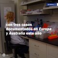 La carrera entre gérmenes y humanos está viendo cada vez más casos de gonorrea resistente a los medicamentos y es algo que está ocurriendo en todo el mundo, de