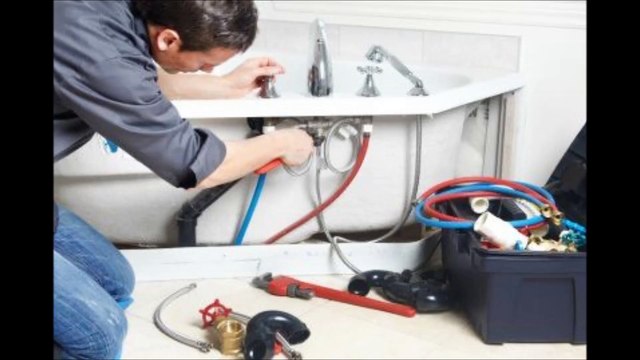 Dave's Specialized Rooter - (510) 270-5842