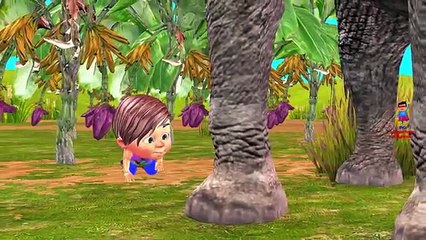 Learn Wild Animals Playing Hide and Seek