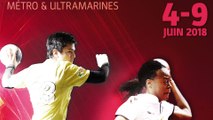 Finalités des championnats de France amateurs de handball